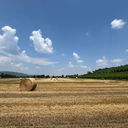 Corte Monticello Barbarano Vicentino Екстер'єр фото
