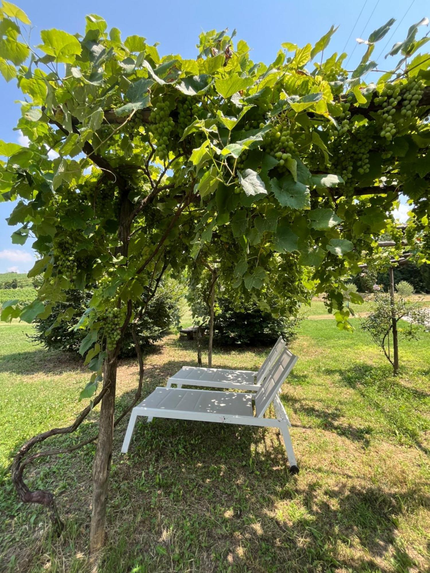 Corte Monticello Barbarano Vicentino Екстер'єр фото